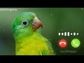 Vivo Phone Message Tone Vivo Ringtone Vivo Message Ringtone Vivo Trending Ringtone