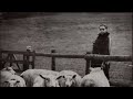 PJ Harvey - fountain demo 1991