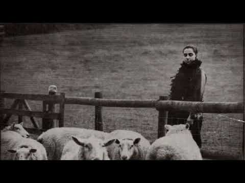 Videoclip de Fountain (Demo) — PJ Harvey