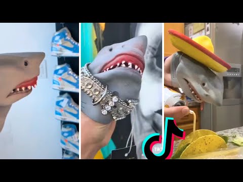Funny SHARK PUPPET TikTok Compilation ~ BEST of Shark Puppet TikToks **NEW**