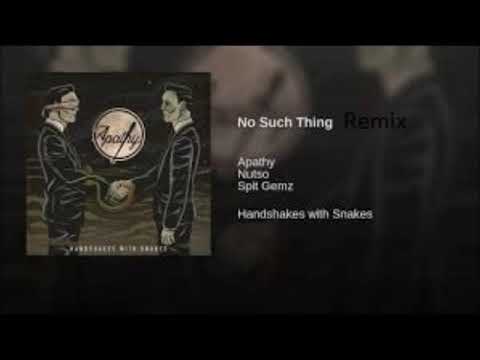 Apathy ft Nutso & Spit Gemz- No Such Thing Remix