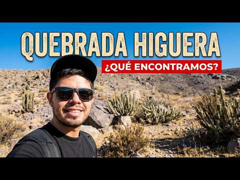 What can we find in the Quebrada de la Higuera? | Routes that Speak 🏜️😄
