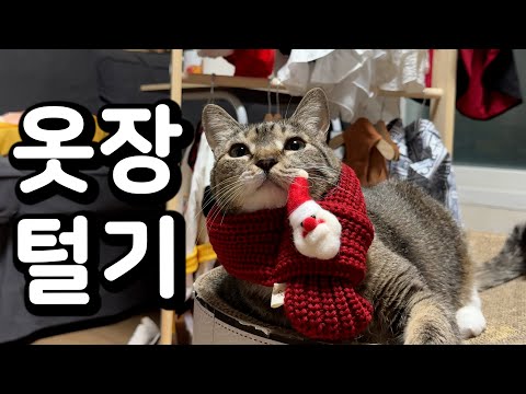 춘봉이 첨지 옷장 구경하실래요?