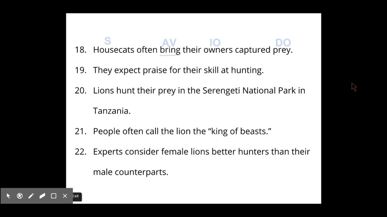 Object Complement Worksheet #12 17