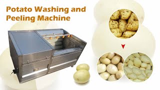 Soft and hard brush potato washing and peeling machine | potato peeler machine at factory price