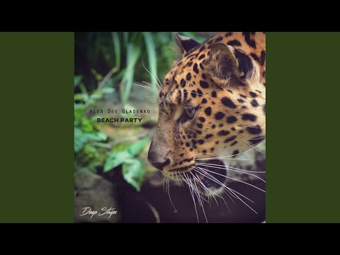 Beach Party (Original Mix)