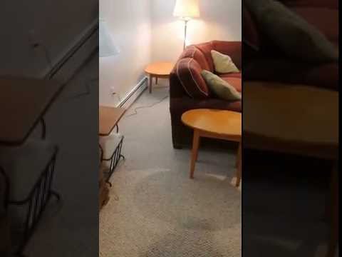 185 Paul Revere Rd, Needham - Basement Walk Through