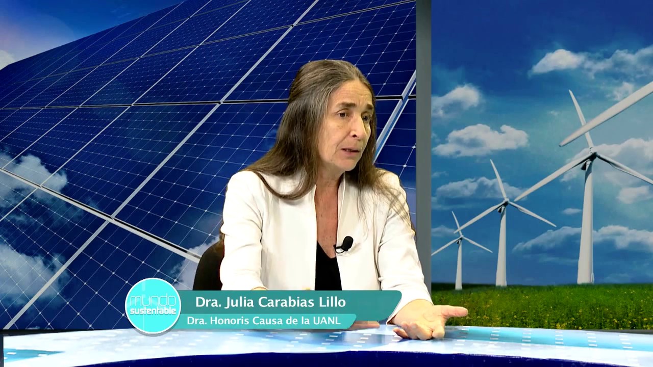 14.- Sustentabilidad Ambiental del Desarrollo