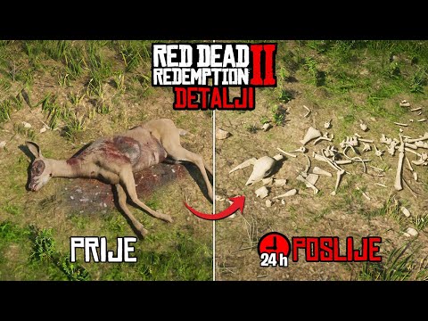 TOP 20 NEVJEROVATNIH Detalja U Red Dead Redemption 2