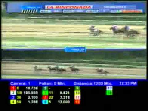 1ERA CARRERA SAB 16 JUNIO LA RINCONADA AUDIOHIPISMO