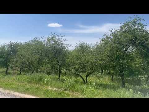 Trasa Główna 5+200