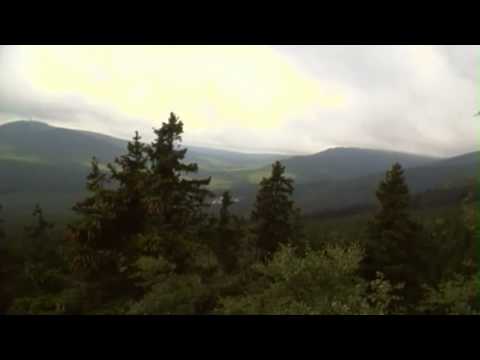 Auf dem Ahrensklint im Harz Stempelstelle 13