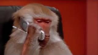 Download lagu video whatsapp lucu - video singkat lucu - status wa lucu - video singkat lucu mp3 Download lagu video whatsapp lucu - video singkat lucu - status wa lucu - video singkat lucu mp3