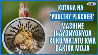 Kutana na ‘Poultry Plucker’, mashine inayonyonyoa kuku watatu kwa dakika moja