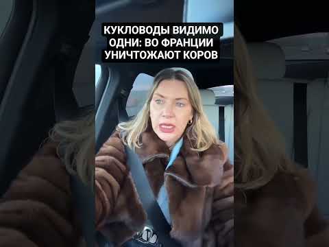 #ФРАНЦИЯ #МАССОВО #ИСТРЕБЛЯЮТ #КОРОВ ВИДИМО #КУКЛОВОДЫ #ОДИНАКОВЫЕ В КОРПОРАЦИЯХ
