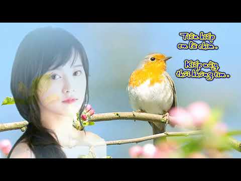 Tiền kiếp - Diệu Hiền