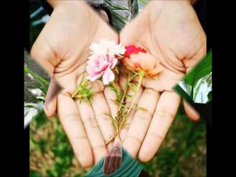 Esquecendo Você - Pery Ribeiro