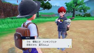 ポケットモンスターV