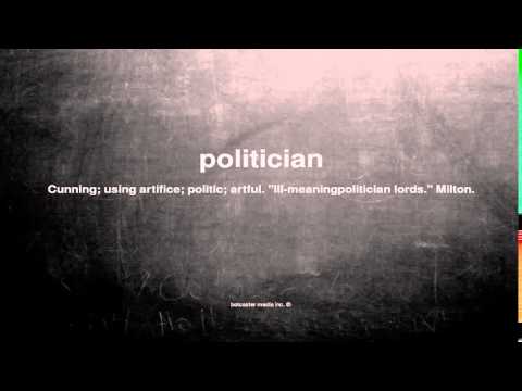 What does politician mean