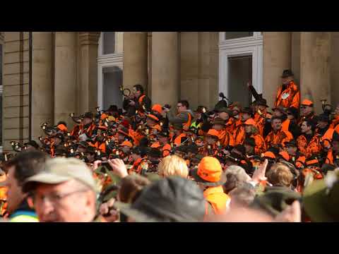 Jagd vorbei und Halali mit 350 Jagdhornbläsern Stuttgart 4.3.2015