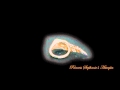 Ring Princess Stephanie S Astrapia From Van Eyck Jewelry