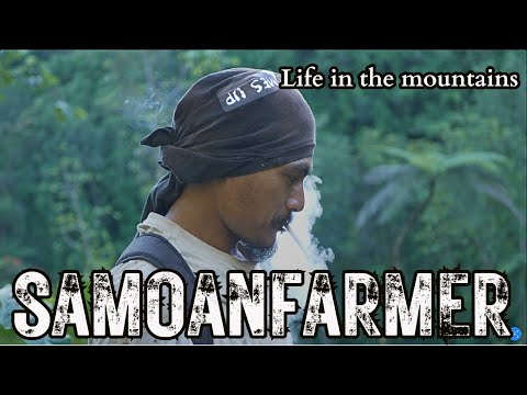 Farm life in the mountains of Samoa with Tau