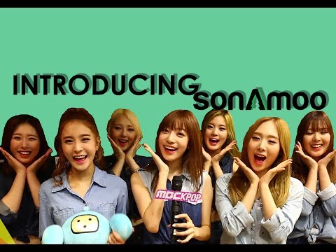 Introducing SONAMOO (Profile,Facts,Voices)