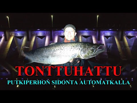 TONTTUHATTU PUTKIPERHO - Perhonsidontaa Automatkalla ( Bugiperhot - Ympärisidottu - Lohiperhot )