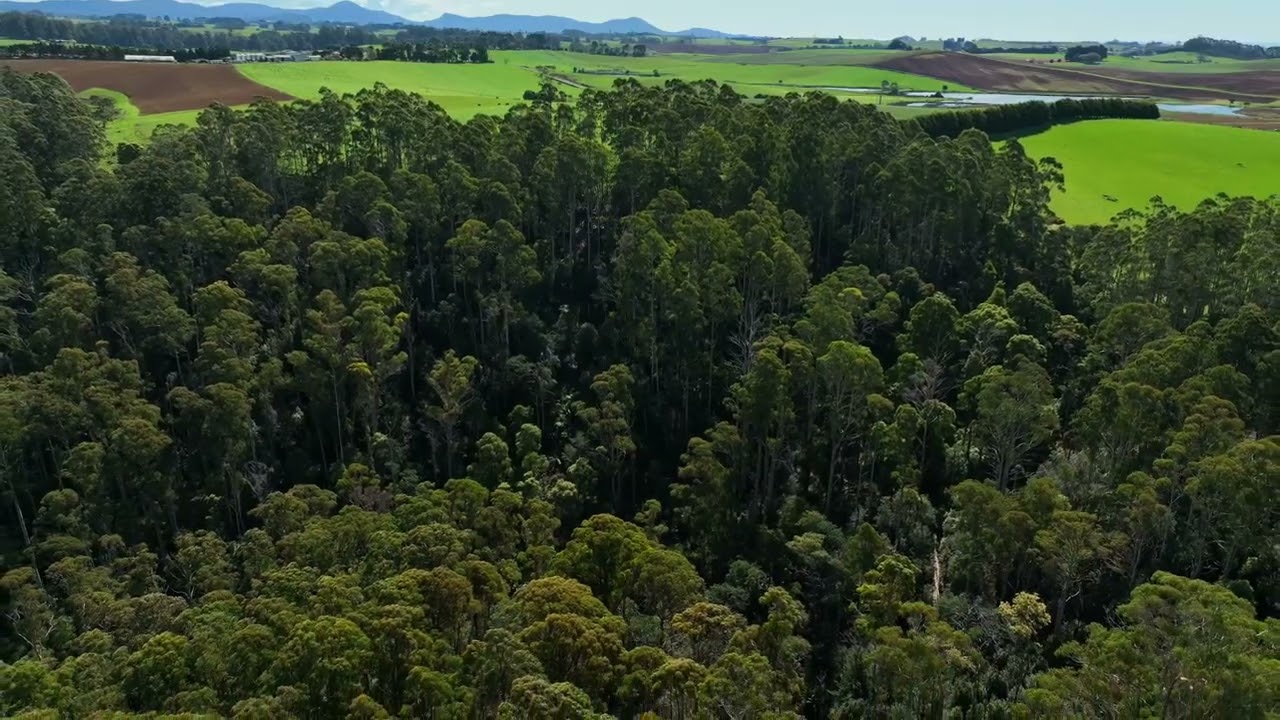 274 Geales Road, Kindred, TAS, 7310 Sold Elders Real Estate