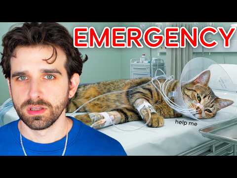 My Kitten Had Emergency Surgery... (sad)