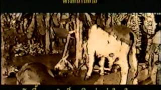 ชีวิตรำให้