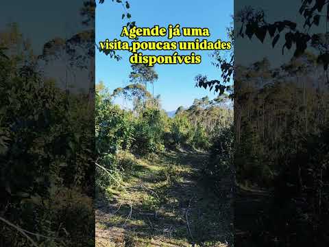 Chácaras em Quatro Barras,Toca do Jacaré 41997779319