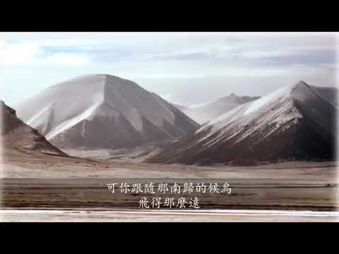 西海情歌 ● 刀郎 歌詞