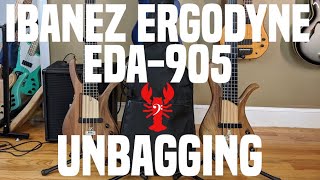Video thumbnail for LowEndLobster Unbagging: Ibanez EDA-905 - The Affirma Trifecta is COMPLETE! by LowEndLobster