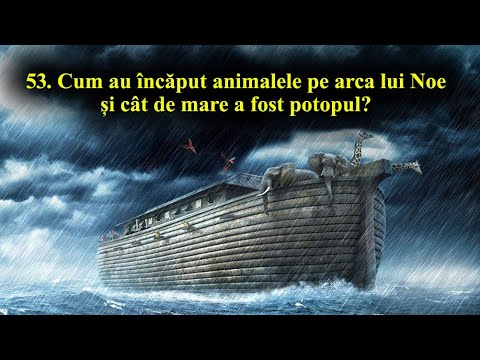 53. How did the animals fit on Noah's ark and how big was the flood?