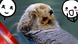 30 DATOS QUE TE HARÁN MÁS FELIZ