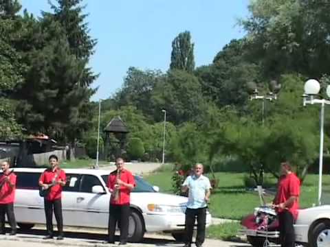 Vita Mali - De mik mis envecat