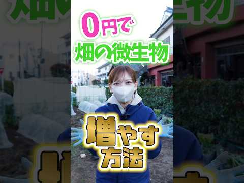 菜園の夏の嵐を守る