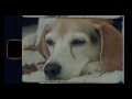 Blink-182 - Home Is Such a Lonely Place (Mark Hoppus Version)