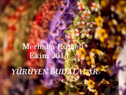 Ne Bacen Tende Po (Petrit Berisha)