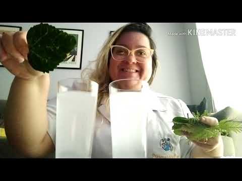 Experimento de Fotossíntese