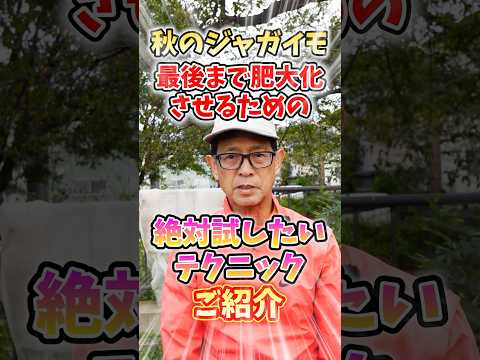 2024年のジャガイモの植え付け時期