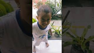 Download lagu bunga janda bolong yang pernah viral !! #shorts mp3