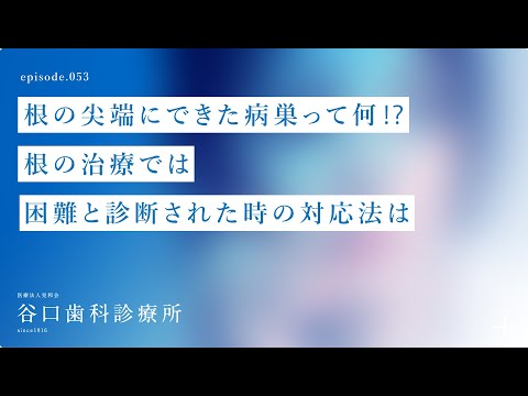 第53話 根の尖端にできた病巣って何⁉️根の治療では困難と診断された時の対応法は⁉️-札幌駅前-赤れんがテラス-谷口歯科診療所