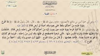 شرح رياض الصالحين : الحديث / 15 / د. ماهر ياسين الفحل image