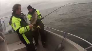 preview picture of video 'The Fishing Dutchmen Hitra Noorwegen 2013'