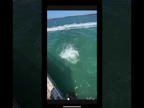 Jetty jumpin with my friend