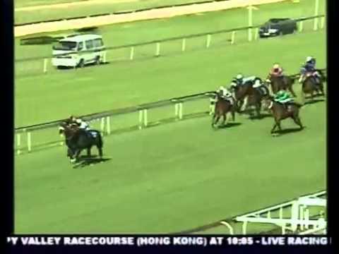 SNOWDON Turffontein 30-10-10 Race 8