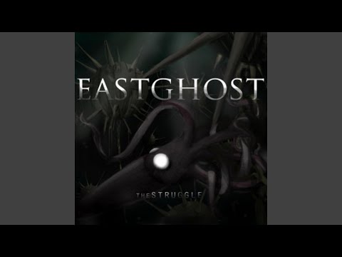 Fiveyearsaloneandthriving