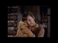 Old Yeller 2 Disc DVD Trailer